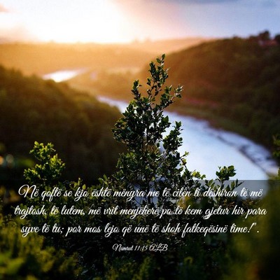 Picture 03 - Numrat 11:15 ALB - Në qoftë se kjo është mënyra me të cilën - Bible Verse Picture