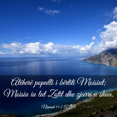 Picture 03 - Numrat 11:2 ALB - Atëherë populli i bërtiti Moisiut; Moisiu iu - Bible Verse Picture
