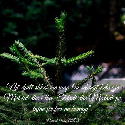 Picture 03 - Numrat 11:27 ALB - Një djalë shkoi me vrap t’ia referojë këtë - Bible Verse Picture