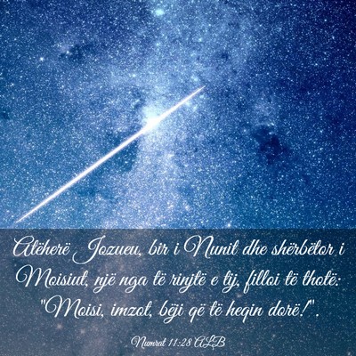 Picture 03 - Numrat 11:28 ALB - Atëherë Jozueu, bir i Nunit dhe shërbëtor i - Bible Verse Picture