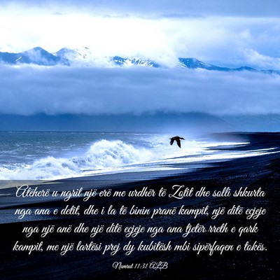 Picture 03 - Numrat 11:31 ALB - Atëherë u ngrit një erë me urdhër të Zotit - Bible Verse Picture