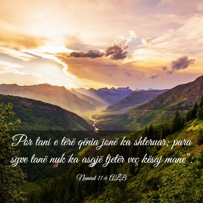 Picture 03 - Numrat 11:6 ALB - Por tani e tërë qënia jonë ka shteruar; para - Bible Verse Picture