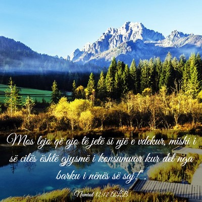 Picture 03 - Numrat 12:12 ALB - Mos lejo që ajo të jetë si një e vdekur, - Bible Verse Picture
