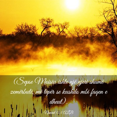 Picture 03 - Numrat 12:3 ALB - (Sepse Moisiu ishte një njeri shumë - Bible Verse Picture
