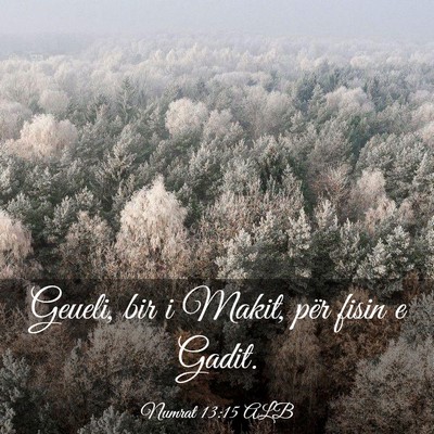 Picture 03 - Numrat 13:15 ALB - Geueli, bir i Makit, për fisin e - Bible Verse Picture