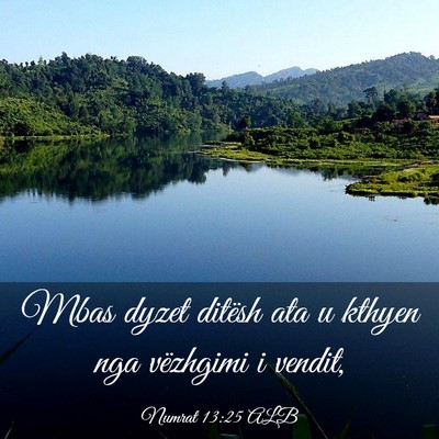 Picture 03 - Numrat 13:25 ALB - Mbas dyzet ditësh ata u kthyen nga vëzhgimi i - Bible Verse Picture