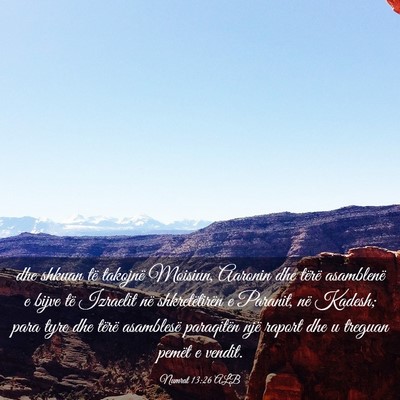 Picture 03 - Numrat 13:26 ALB - dhe shkuan të takojnë Moisiun, Aaronin dhe - Bible Verse Picture