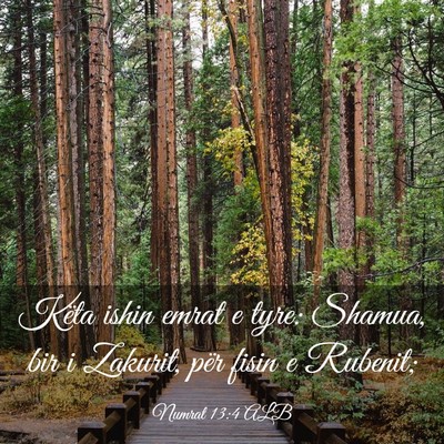 Picture 03 - Numrat 13:4 ALB - Këta ishin emrat e tyre: Shamua, bir i Zakurit, - Bible Verse Picture