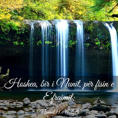 Picture 03 - Numrat 13:8 ALB - Hoshea, bir i Nunit, për fisin e - Bible Verse Picture