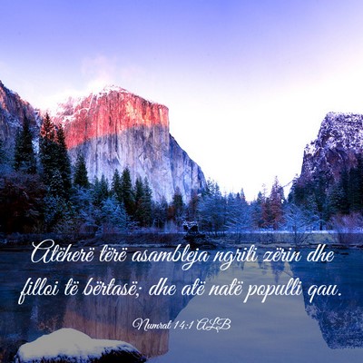 Picture 03 - Numrat 14:1 ALB - Atëherë tërë asambleja ngriti zërin dhe - Bible Verse Picture