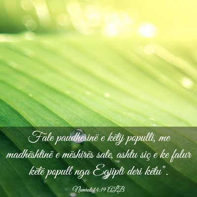 Picture 03 - Numrat 14:19 ALB - Fale paudhësinë e këtij populli, me - Bible Verse Picture