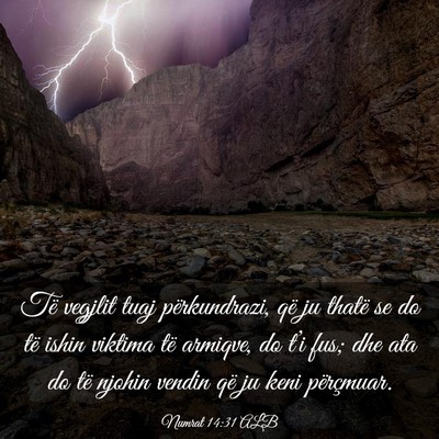 Picture 03 - Numrat 14:31 ALB - Të vegjlit tuaj përkundrazi, që ju thatë se - Bible Verse Picture