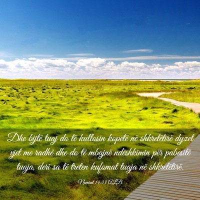 Picture 03 - Numrat 14:33 ALB - Dhe bijtë tuaj do të kullosin kopetë në - Bible Verse Picture