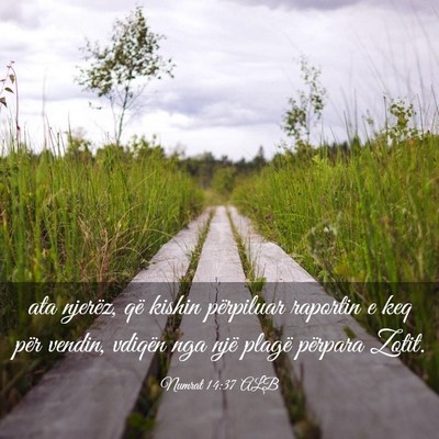 Picture 03 - Numrat 14:37 ALB - ata njerëz, që kishin përpiluar raportin e keq - Bible Verse Picture
