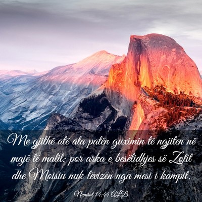 Picture 03 - Numrat 14:44 ALB - Me gjithë atë ata patën guximin të ngjiten - Bible Verse Picture