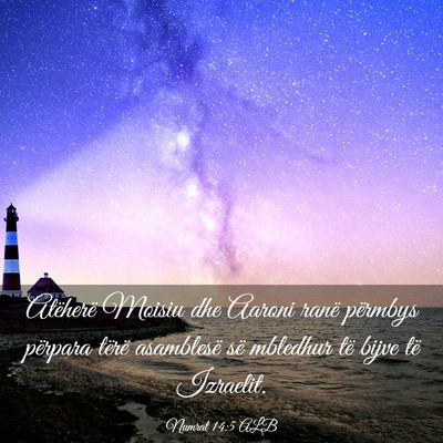 Picture 03 - Numrat 14:5 ALB - Atëherë Moisiu dhe Aaroni ranë përmbys - Bible Verse Picture