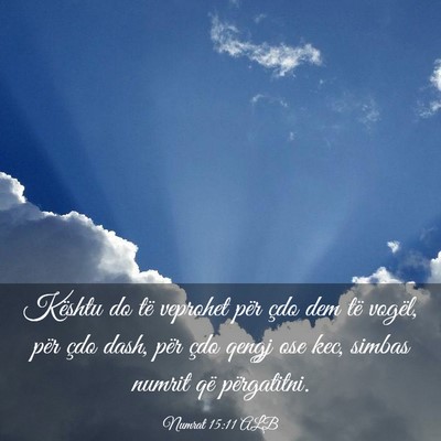 Picture 03 - Numrat 15:11 ALB - Kështu do të veprohet për çdo dem të vogël, - Bible Verse Picture