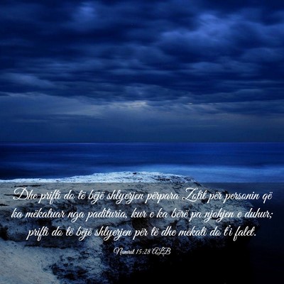 Picture 03 - Numrat 15:28 ALB - Dhe prifti do të bëjë shlyerjen përpara Zotit - Bible Verse Picture