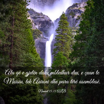 Picture 03 - Numrat 15:33 ALB - Ata që e gjetën duke mbledhur dru, e çuan te - Bible Verse Picture