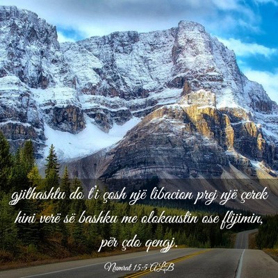 Picture 03 - Numrat 15:5 ALB - gjithashtu do t’i çosh një libacion prej një - Bible Verse Picture
