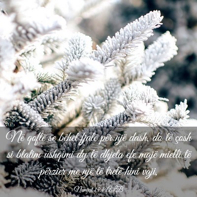 Picture 03 - Numrat 15:6 ALB - Në qoftë se bëhet fjalë për një dash, do - Bible Verse Picture