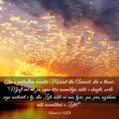Picture 03 - Numrat 16:3 ALB - Ata u mblodhën kundër Moisiut dhe Aaronit, dhe - Bible Verse Picture