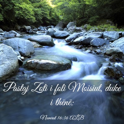 Picture 03 - Numrat 16:36 ALB - Pastaj Zoti i foli Moisiut, duke i - Bible Verse Picture