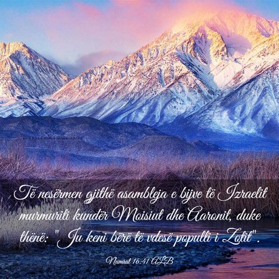 Picture 03 - Numrat 16:41 ALB - Të nesërmen gjithë asambleja e bijve të - Bible Verse Picture