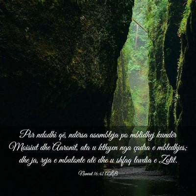 Picture 03 - Numrat 16:42 ALB - Por ndodhi që, ndërsa asambleja po mblidhej - Bible Verse Picture