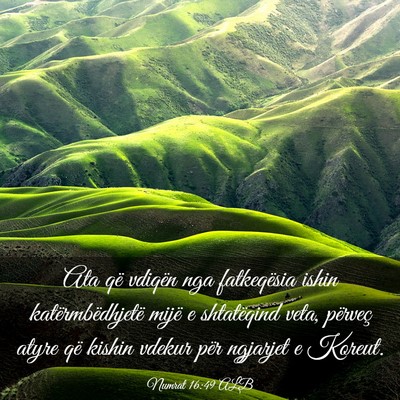 Picture 03 - Numrat 16:49 ALB - Ata që vdiqën nga fatkeqësia ishin - Bible Verse Picture