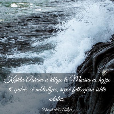 Picture 03 - Numrat 16:50 ALB - Kështu Aaroni u kthye te Moisiu në hyrje të - Bible Verse Picture