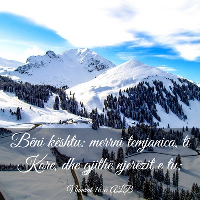 Picture 03 - Numrat 16:6 ALB - Bëni kështu: merrni temjanica, ti Kore, dhe - Bible Verse Picture