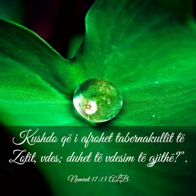 Picture 03 - Numrat 17:13 ALB - Kushdo që i afrohet tabernakullit të Zotit, - Bible Verse Picture
