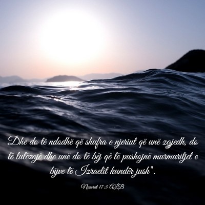 Picture 03 - Numrat 17:5 ALB - Dhe do të ndodhë që shufra e njeriut që unë - Bible Verse Picture