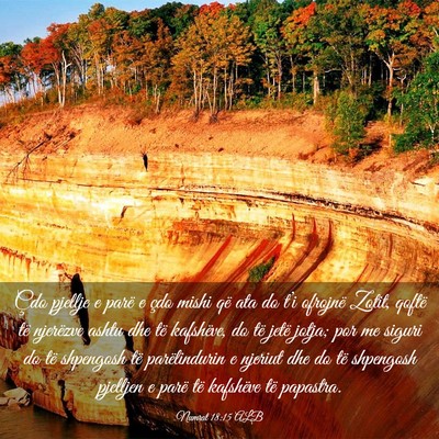 Picture 03 - Numrat 18:15 ALB - Çdo pjellje e parë e çdo mishi që ata do - Bible Verse Picture