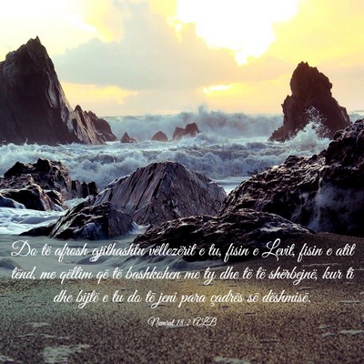 Picture 03 - Numrat 18:2 ALB - Do të afrosh gjithashtu vëllezërit e tu, fisin - Bible Verse Picture