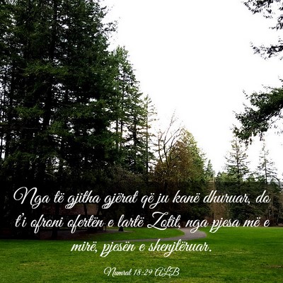 Picture 03 - Numrat 18:29 ALB - Nga të gjitha gjërat që ju kanë dhuruar, do - Bible Verse Picture