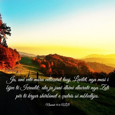 Picture 03 - Numrat 18:6 ALB - Ja, unë vetë mora vëllezërit tuaj, Levitët, - Bible Verse Picture