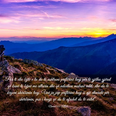Picture 03 - Numrat 18:7 ALB - Por ti dhe bijtë e tu do të ushtroni - Bible Verse Picture
