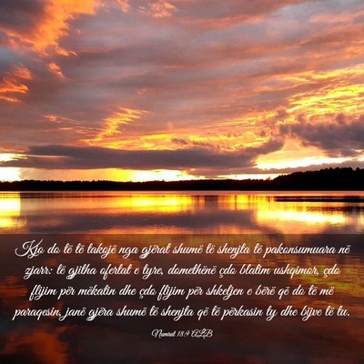 Picture 03 - Numrat 18:9 ALB - Kjo do të të takojë nga gjërat shumë të - Bible Verse Picture