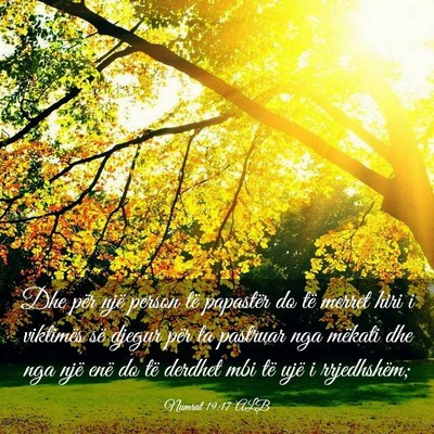 Picture 03 - Numrat 19:17 ALB - Dhe për një person të papastër do të merret - Bible Verse Picture