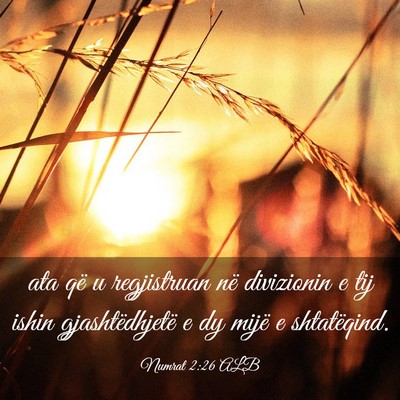 Picture 03 - Numrat 2:26 ALB - ata që u regjistruan në divizionin e tij ishin - Bible Verse Picture