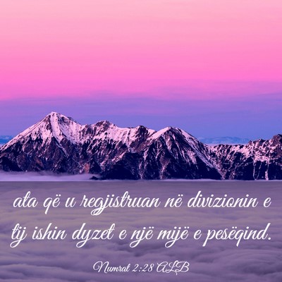 Picture 03 - Numrat 2:28 ALB - ata që u regjistruan në divizionin e tij ishin - Bible Verse Picture