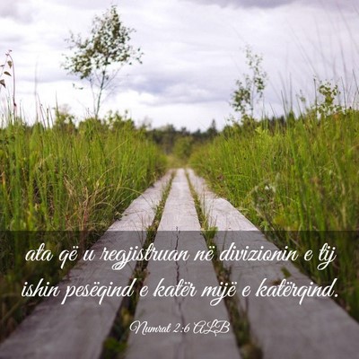 Picture 03 - Numrat 2:6 ALB - ata që u regjistruan në divizionin e tij ishin - Bible Verse Picture