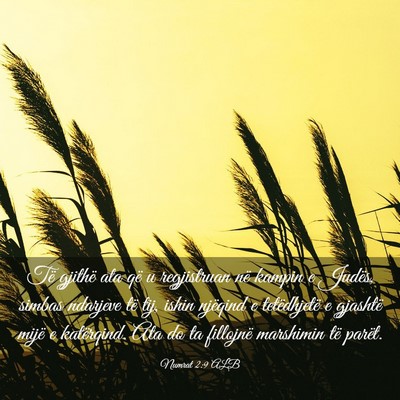 Picture 03 - Numrat 2:9 ALB - Të gjithë ata që u regjistruan në kampin e - Bible Verse Picture