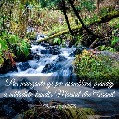 Picture 03 - Numrat 20:2 ALB - Por mungonte uji për asamblenë, prandaj u - Bible Verse Picture