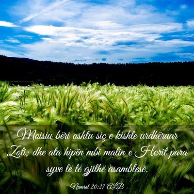 Picture 03 - Numrat 20:27 ALB - Moisiu bëri ashtu siç e kishte urdhëruar Zoti; - Bible Verse Picture