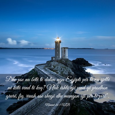Picture 03 - Numrat 20:5 ALB - Dhe pse na bëtë të dalim nga Egjipti për të - Bible Verse Picture