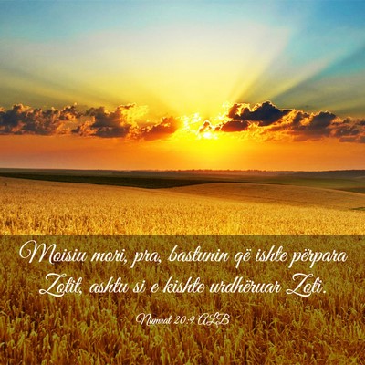 Picture 03 - Numrat 20:9 ALB - Moisiu mori, pra, bastunin që ishte përpara - Bible Verse Picture