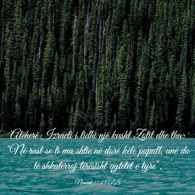 Picture 03 - Numrat 21:2 ALB - Atëherë Izraeli i lidhi një kusht Zotit dhe - Bible Verse Picture